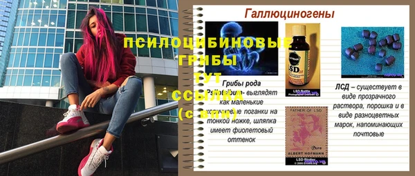 ПСИЛОЦИБИНОВЫЕ ГРИБЫ Волоколамск