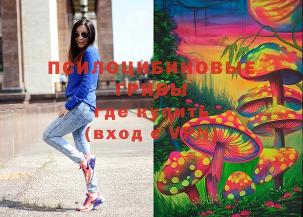 круглые Тавда
