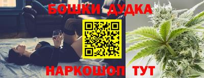 СК Донецк