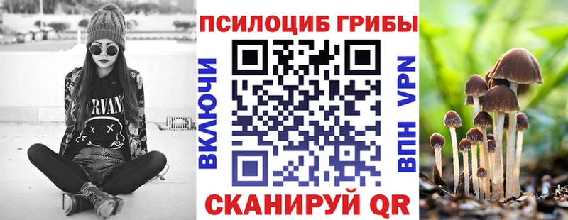 это телеграм  цена   Братск  Псилоцибиновые грибы мухоморы 
