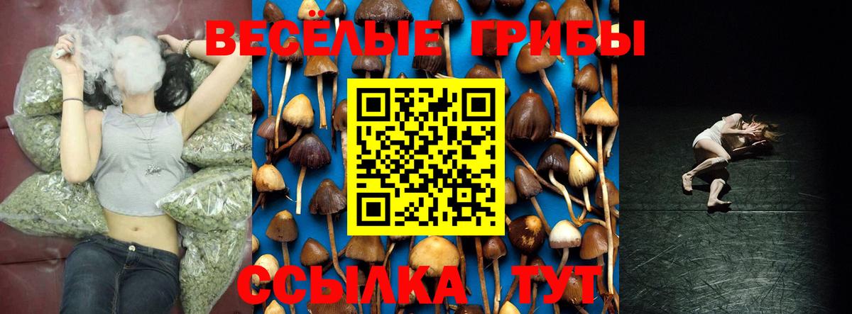 Псилоцибиновые грибы мухоморы  Братск  Псилоцибиновые грибы MAGIC MUSHROOMS 