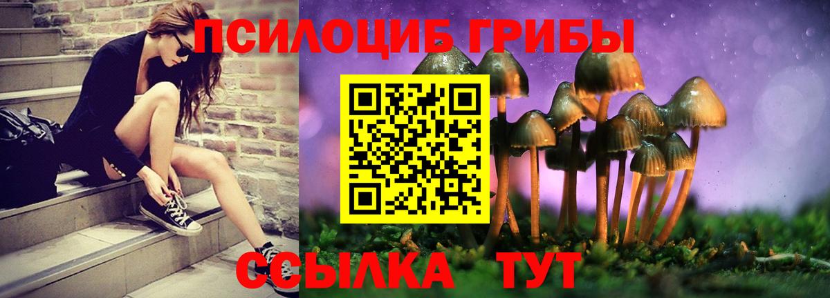 Братск  Псилоцибиновые грибы мицелий  Вход с VPN 