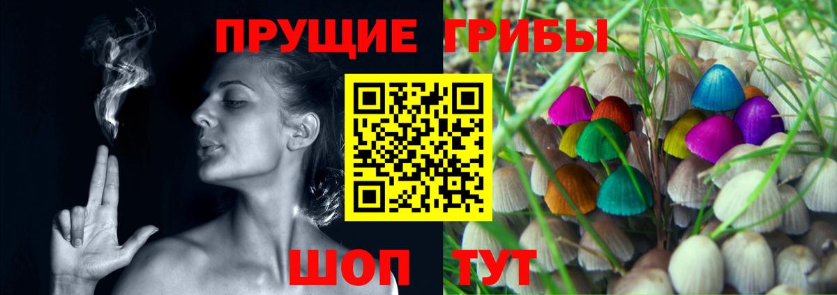 Псилоцибиновые грибы мухоморы Братск