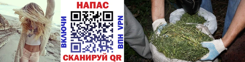 где продают   Братск  Шишки марихуана ГИДРОПОН 